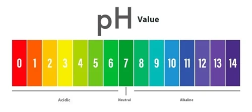 PHレベルは飲料水にどのような影響を与えますか?